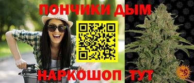 сатива Первоуральск