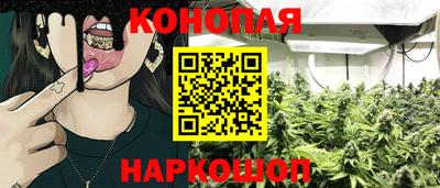 стафф Пугачёв