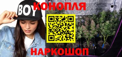 гидра Пыть-Ях