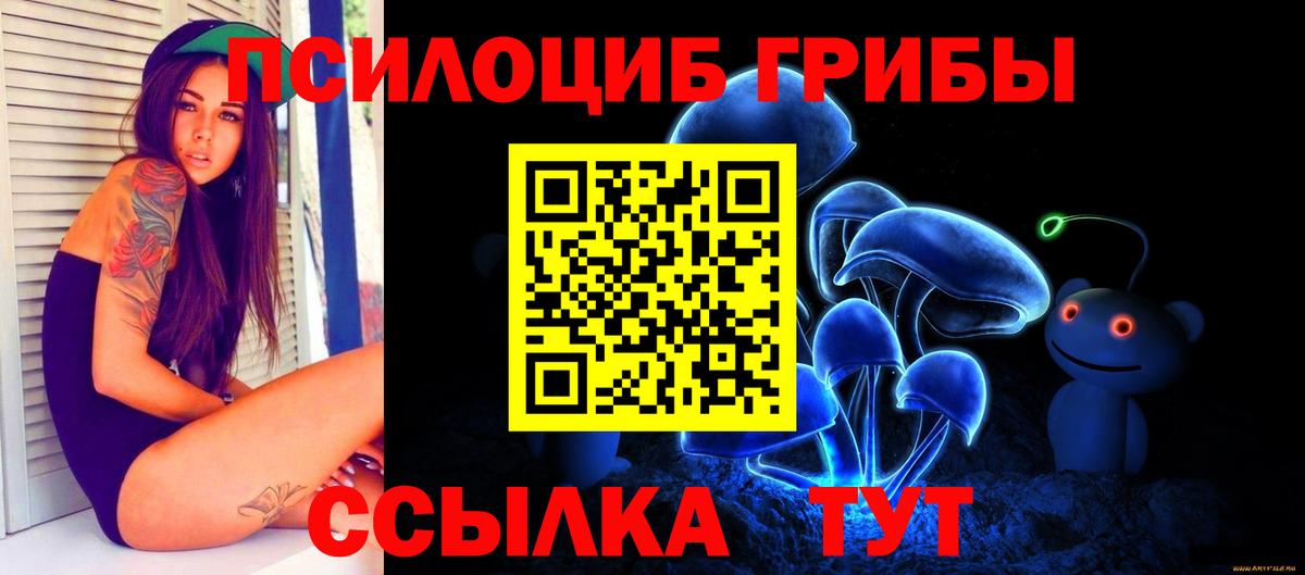 Приморско-Ахтарск  Псилоцибиновые грибы Cubensis  Вход с VPN 